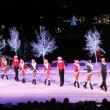 SeaWorld Christmas Ice Skating