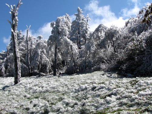 Beech Mountain, NC