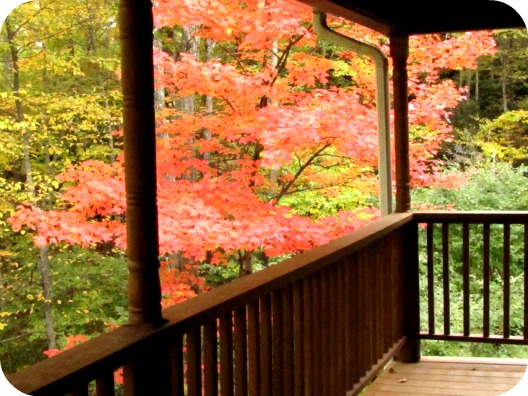 Fall in the NC Mountains