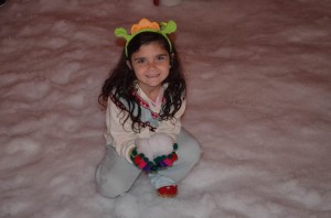 Kung Fu Panda Awesome SNOW! Gaylord Palms