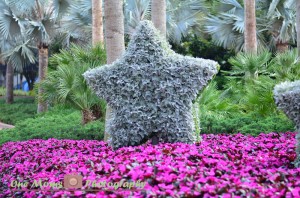 Epcot International Flower & Garden Festival