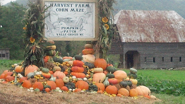 Harvest-Farm-Corn-Maze