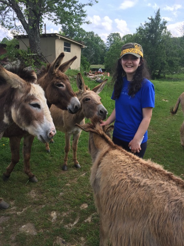 L with animals